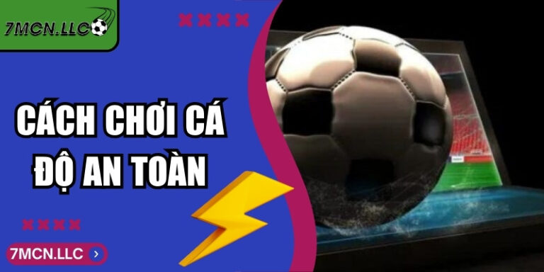 Cách Chơi Cá Độ An Toàn Dành Cho Hội Viên Mới Bắt Đầu